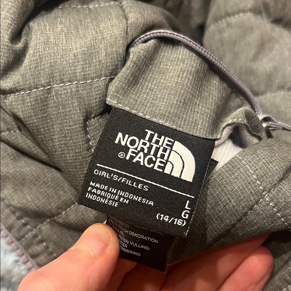The North Face Kids Puffer Jacket in Gray with Light Blue Lining - Picture 7 of 7